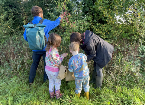 Group of people collecting hedge seeds