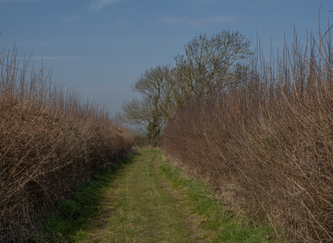 Image of bridleway at Ebdon Farm