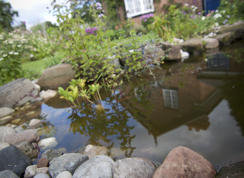 A house with a pond in the garden