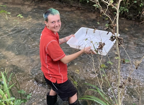 Riverfly moniting