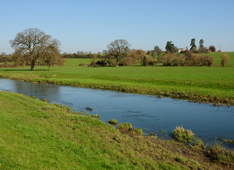 A section of the river Frome