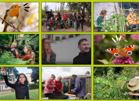 Wildlife Champions