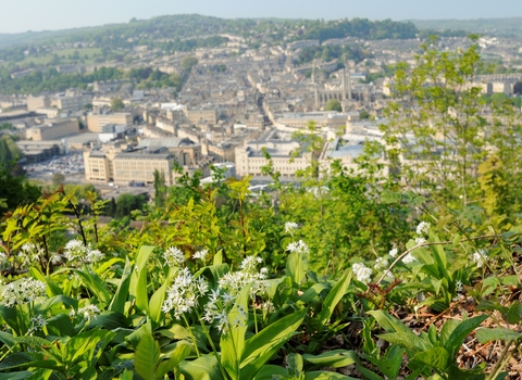 Wild Garlic with Bath in the background