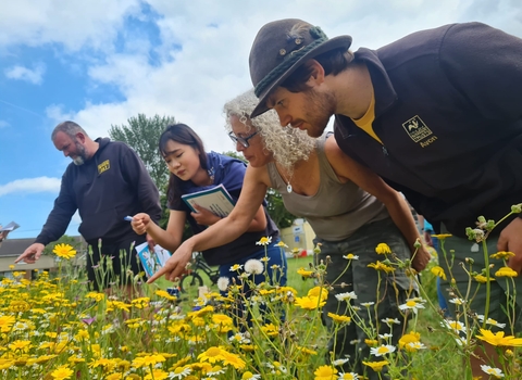 Eric, Community Ecologist in Residence, looks at a wildflower meadow with residents.