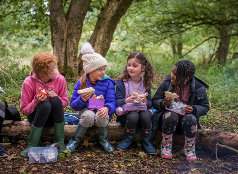 School children sat on a log, smiling and eating a picnic, during education visit to Folly Farm