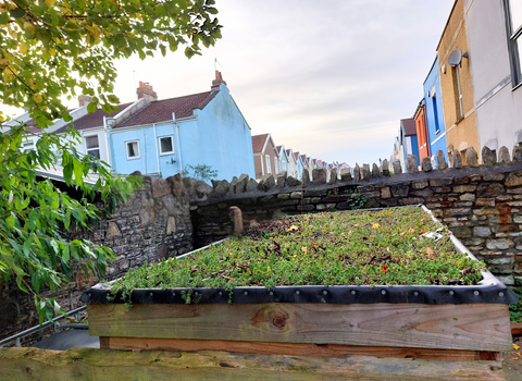 Green roof in urban setting with colourful houses in the background in Bristol