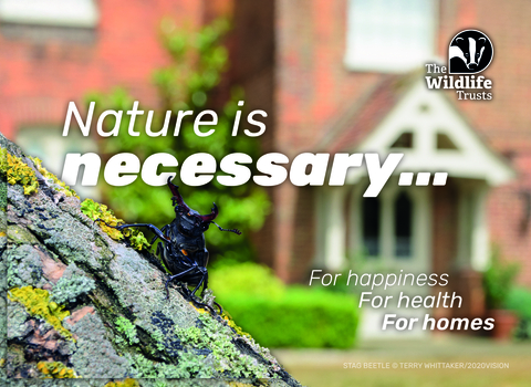 Image of stag beetle on a postcard with the phrase Nature is necessary