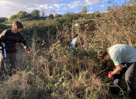 Youth Leadership group clearing brambles