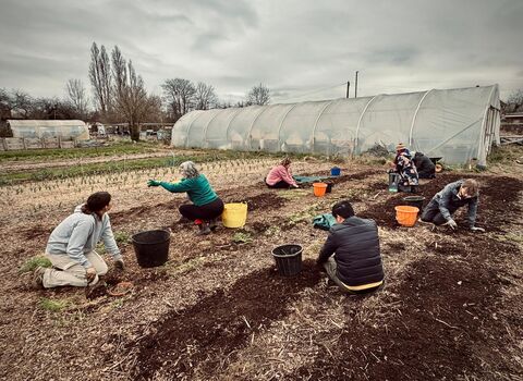 Volunteers planting at Grow Wilder